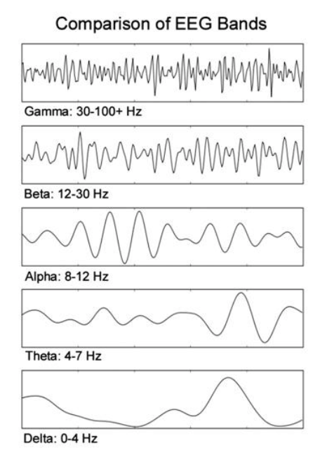 eeg waves