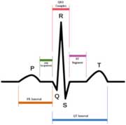 Heart Rate Variability HRV